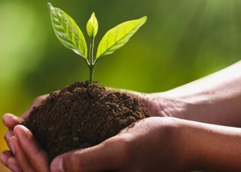एक पेड मां के नाम” अभियानांतर्गत वृक्षारोपण कार्यक्रम उत्साहात संपन्न…