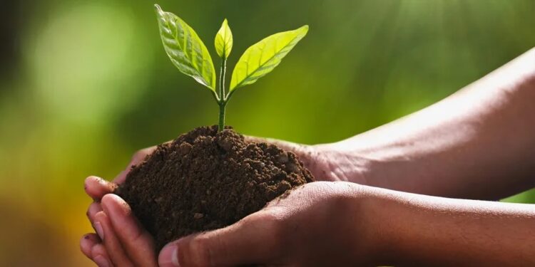 एक पेड मां के नाम” अभियानांतर्गत वृक्षारोपण कार्यक्रम उत्साहात संपन्न…
