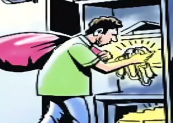 साडेसात लाखाचे साडेबारा तोळे सोने लंपास दिवसा ढवळ्या चोरी