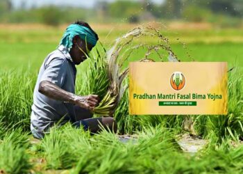 प्रधानमंत्री पिक विमा योजना;खरीप हंगाम 2025 मध्ये सहभाग नोंदवण्यासाठी 30 ऑगस्टपर्यंत मुदतवाढ…