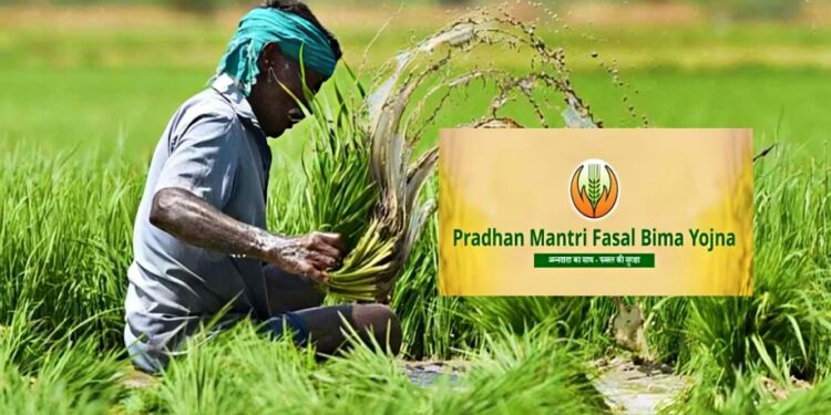 प्रधानमंत्री पिक विमा योजना;खरीप हंगाम 2025 मध्ये सहभाग नोंदवण्यासाठी 30 ऑगस्टपर्यंत मुदतवाढ…