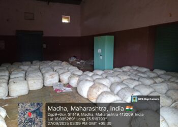 जिल्हाधिकारी कुमार आशीर्वाद यांच्या शर्थीच्या प्रयत्नातून मुबलक प्रमाणात चारा उपलब्ध