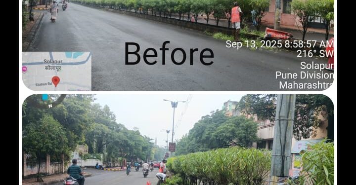 सोलापूर : स्वच्छ व सुंदर सोलापूर मोहिमेतर्गत दुभाजक व फुटपाथ स्वच्छतेस सुरुवात..