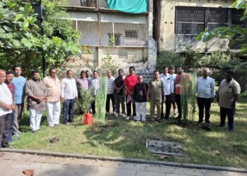 शिवसेनेच्या वतीने सिद्धेश्वर तलाव परिसरात वृक्षारोपण…