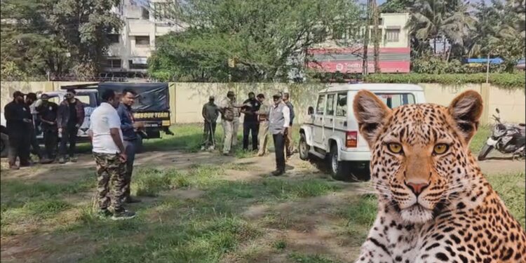 नाशिकमधील भोसला स्कूल परिसरात बिबट्या शिरल्याची खबर…