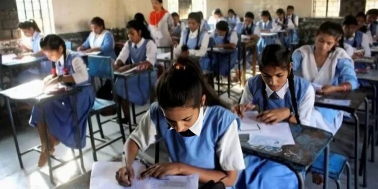 राज्यातील सर्व शाळांची एकाच वेळी होणार पट तपासणी…