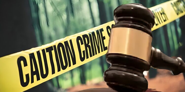 तरुणाचा भर रस्त्यात खून; गुन्हेगारास जन्मठेपेची शिक्षा…