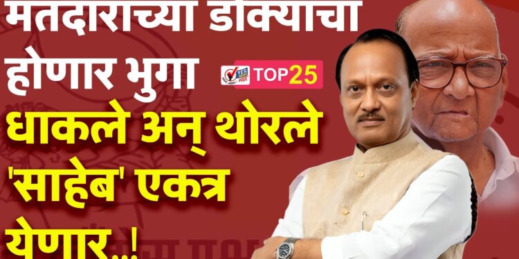 मतदारांच्या डोक्याचा होणार भुगा – धाकले अन् थोरले ‘साहेब’ एकत्र येणार..!