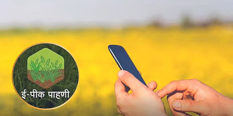 ई पीक पाहणी न झालेल्या शेतकऱ्यांना दिलासा; आता होणार ऑफलाईन नोंद
