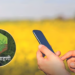 ई पीक पाहणी न झालेल्या शेतकऱ्यांना दिलासा; आता होणार ऑफलाईन नोंद