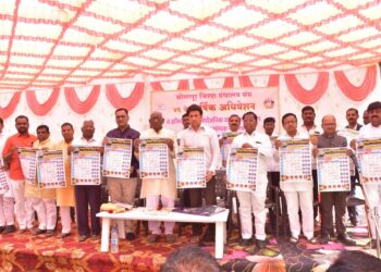 अरण येथे सोलापूर जिल्हा ग्रंथालय संघाचे अधिवेशन संपन्न..
