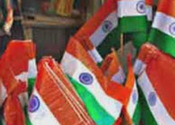 प्लॅस्टिक राष्ट्रध्वज वापरास बंदी; ध्वजसंहितेचे पालन करण्याचे जिल्हाधिकाऱ्यांचे आवाहन