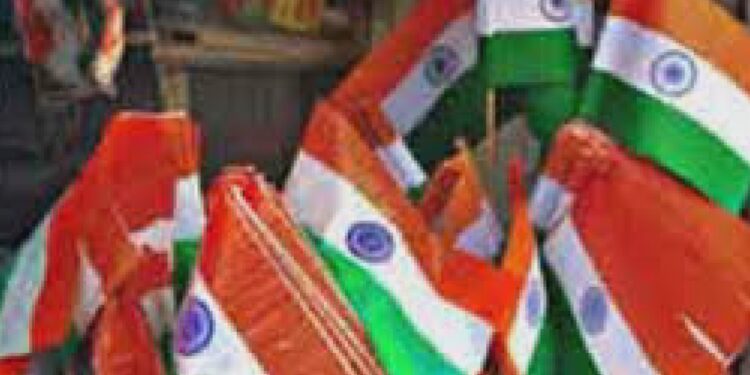 प्लॅस्टिक राष्ट्रध्वज वापरास बंदी; ध्वजसंहितेचे पालन करण्याचे जिल्हाधिकाऱ्यांचे आवाहन