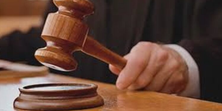 मुलाचा खून; बापाला जन्मठेप