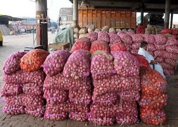 सोलापुरात तब्बल 836 ट्रक कांद्यांची आवक