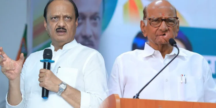 जिल्हा परिषद निवडणुकीतही घड्याळ- तुतारी एकत्रच