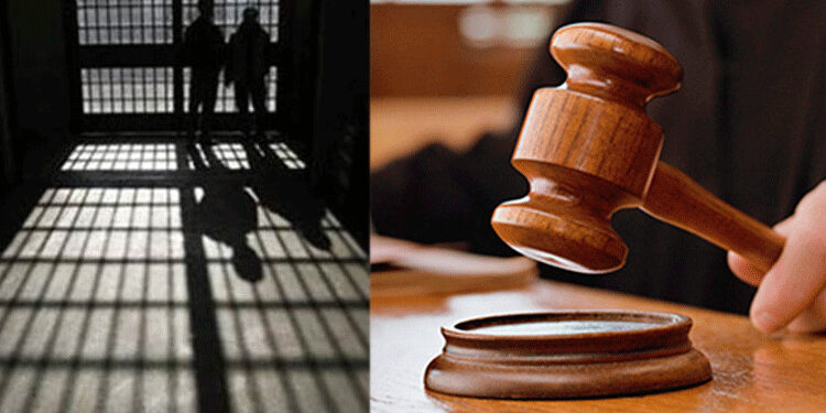 अल्पवयीन मुलीवर लैंगिक अत्याचार प्रकरणातील २ आरोपींना जामीन मंजूर..