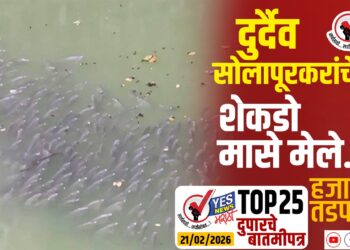 TOP 25 । दुर्दैव सोलापूरकरांचे.. शेकडो मासे मेले…हजारोंची तडफड..