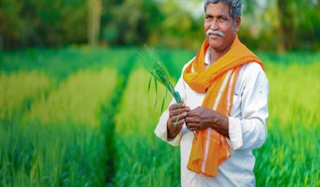 विविध कृषी पुरस्कारांसाठी शेतकऱ्यांनी ऑनलाईन अर्ज करावे