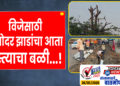 विजेसाठी अगोदर झाडांचा आता रस्त्याचा बळी…!