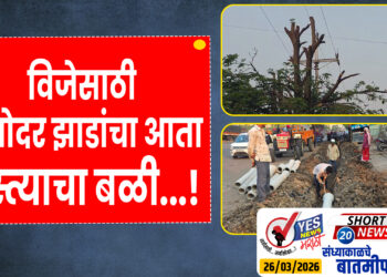 विजेसाठी अगोदर झाडांचा आता रस्त्याचा बळी…!