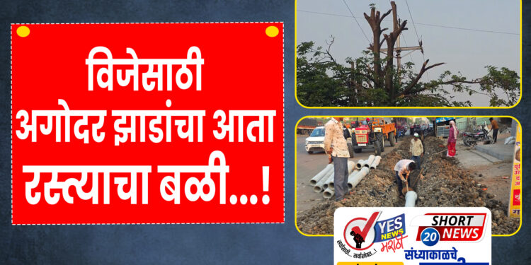 विजेसाठी अगोदर झाडांचा आता रस्त्याचा बळी…!