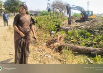 योगी राजेंद्र नगर, माशाळ वस्ती येथे मोठ्या प्रमाणात वृक्षतोड; उपमहापौर ज्ञानेश्वरी देवकर यांच्या हस्तक्षेपामुळे तोड थांबली