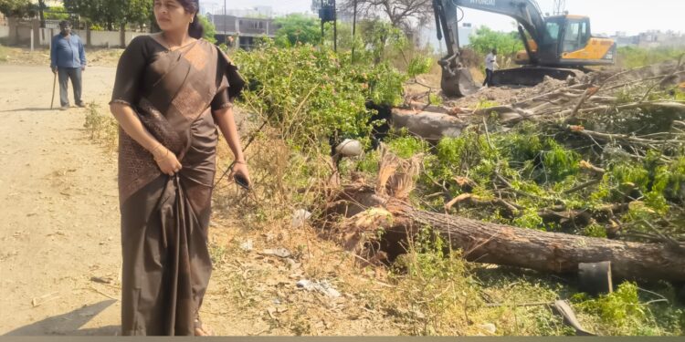 योगी राजेंद्र नगर, माशाळ वस्ती येथे मोठ्या प्रमाणात वृक्षतोड; उपमहापौर ज्ञानेश्वरी देवकर यांच्या हस्तक्षेपामुळे तोड थांबली
