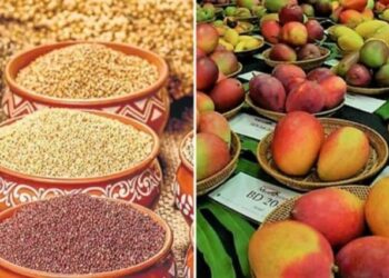 23 व 25 मार्च रोजी जिल्हास्तरीय कृषि व धान्य महोत्सवाचे आयोजन