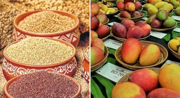 23 व 25 मार्च रोजी जिल्हास्तरीय कृषि व धान्य महोत्सवाचे आयोजन