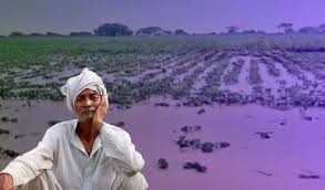 अतिवृष्टी ग्रस्त शेतकऱ्यांना दिलासा..