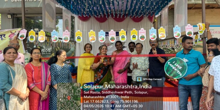 सोलापूरकरांनी मारला कलरफुल खरबूज कलिंगडावर ताव; फस्त केले पाच टन कलिंगड, खरबूज…