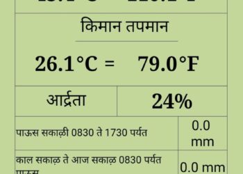 सोलापूरचा पारा ४३ अंशांच्या पार उष्णतेच्या लाटेचा इशारा, नागरिकांना सतर्कतेचे आवाहन..!