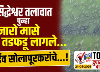 TOP 25 – सिद्धेश्वर तलावात पुन्हा हजारो मासे तडफडू लागले…दुर्दैव सोलापूरकरांचे…!