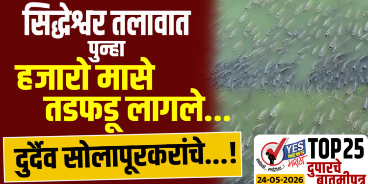 TOP 25 – सिद्धेश्वर तलावात पुन्हा हजारो मासे तडफडू लागले…दुर्दैव सोलापूरकरांचे…!