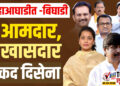 महाआघाडीत -बिघाडी..5 आमदार,दोन खासदार.. ताकद दिसेना !