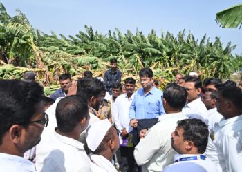 अतिवृष्टीने झालेल्या शेती पिकाच्या नुकसानीचे पंचनामे तात्काळ करून अहवाल सादर करावेत-जिल्हाधिकारी एस. कार्तीकेयन