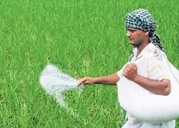 शेतकरी बांधवांनी डीएपी खताला पर्यायी खतांचा वापर करावा – कृषी विभागाचे आवाहन