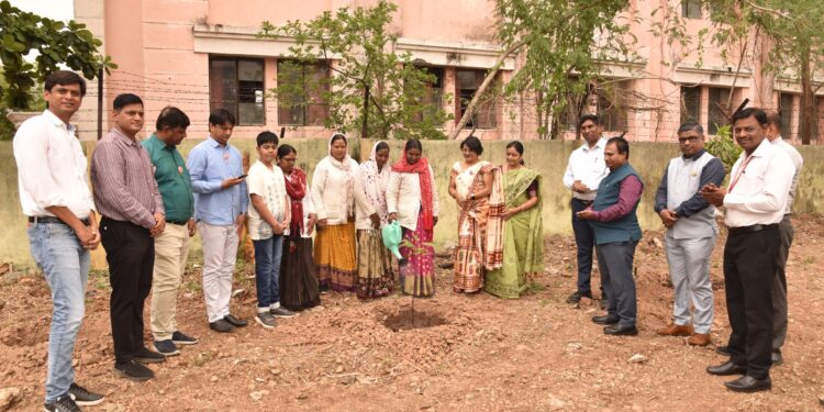 सोलापूर विद्यापीठात जागतिक पर्यावरण दिनानिमित्त वृक्षारोपण!