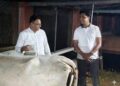 गोटपॉक्स लसीकरण: पहिल्या टप्प्यात 37.52 लाख लसमात्रांचे वाटप सुरू
