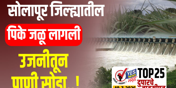 TOP 25 । सोलापूर जिल्ह्यातील पिके जळू लागली.. उजनीतून पाणी सोडा..!