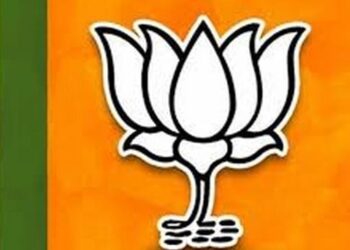 भारतीय जनता युवा मोर्चाची शहर कार्यकारिणी जाहीर