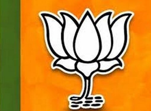 भारतीय जनता युवा मोर्चाची शहर कार्यकारिणी जाहीर
