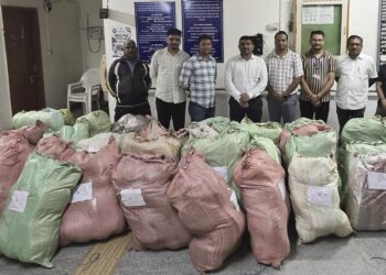सोलापूरकडे जाणाऱ्या ट्रकमधून तब्बल ६.५४ कोटींचा गांजा जप्त