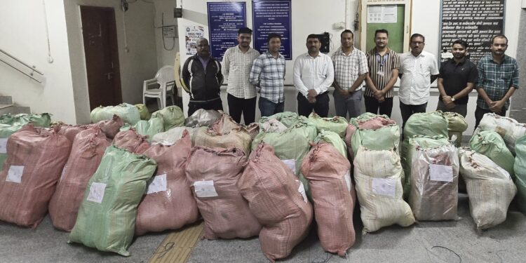 सोलापूरकडे जाणाऱ्या ट्रकमधून तब्बल ६.५४ कोटींचा गांजा जप्त