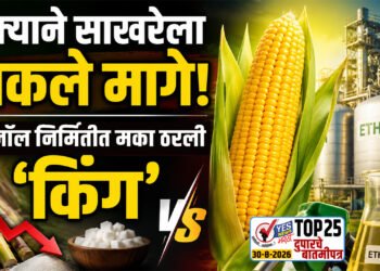 मक्याने साखरेला टाकले मागे! इथेनॉल निर्मितीत मका ठरली ‘किंग’