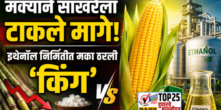 मक्याने साखरेला टाकले मागे! इथेनॉल निर्मितीत मका ठरली ‘किंग’