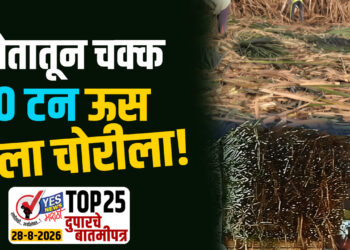शेतातून चक्क ४० टन ऊस गेला चोरीला !
