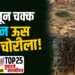 शेतातून चक्क ४० टन ऊस गेला चोरीला !