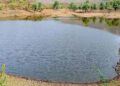 अमृत सरोवर ते जलसंधारण अभियान: सोलापूर जिल्ह्यात पाणी संवर्धनाची चळवळ